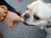 0214_003.JPG (103083 bytes)