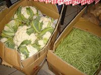 0218_029.JPG (134105 bytes)