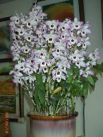 0218_047.JPG (77899 bytes)