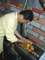 0220_077.JPG (71887 bytes)