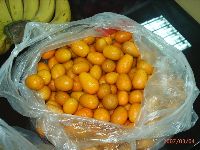 0304_033.JPG (124827 bytes)