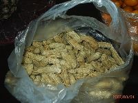 0304_034.JPG (121379 bytes)