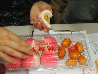 0304_049.JPG (99517 bytes)