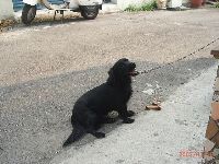 0316_001.JPG (144991 bytes)