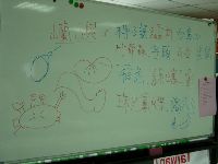 0505_011.JPG (73365 bytes)