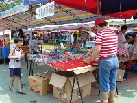 0513_014.JPG (153922 bytes)