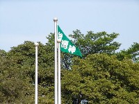 0513_048.JPG (142055 bytes)