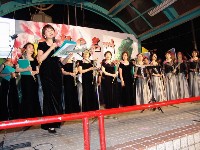 0513_100.JPG (134605 bytes)