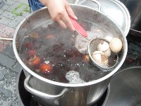 0513_131.JPG (109701 bytes)