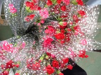 0513_138.JPG (179215 bytes)