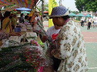 0513_141.JPG (149347 bytes)