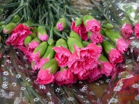 0513_147.JPG (136335 bytes)