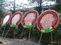 0526_004.JPG (182430 bytes)