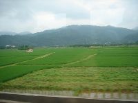 0526_028.JPG (65800 bytes)