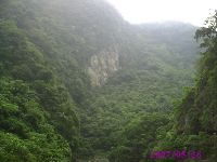 0526_078.JPG (92258 bytes)