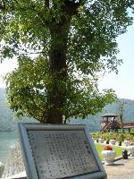 0527_054.jpg (168874 bytes)