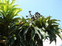 0527_059.JPG (120537 bytes)