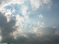 0601_135.JPG (55958 bytes)