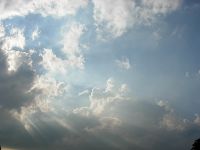 0601_137.JPG (56016 bytes)