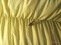 0607_017.JPG (85453 bytes)