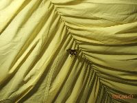 0607_025.JPG (95800 bytes)