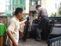 0616_095.JPG (111800 bytes)