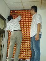 0616_169.JPG (77266 bytes)