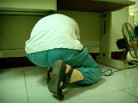 0618_027.JPG (82125 bytes)