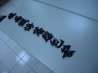 0618_061.JPG (54568 bytes)