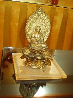 0621_057.JPG (68078 bytes)