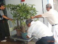 0624_019.JPG (91990 bytes)