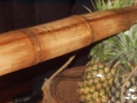 0628_012.JPG (69952 bytes)