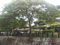 0705_017.JPG (158196 bytes)