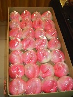 0708_012.JPG (38125 bytes)