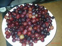 0708_111.JPG (76649 bytes)