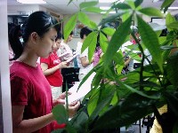 0714-4_09.JPG (69743 bytes)