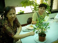 0721_04.JPG (121388 bytes)