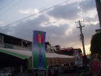 0805_009.JPG (81394 bytes)