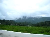 0811_019.jpg (60147 bytes)