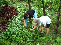 0811_042.jpg (200886 bytes)