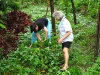 0811_043.jpg (199542 bytes)