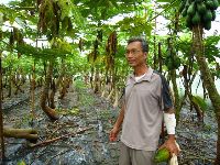 0811_044.jpg (193813 bytes)