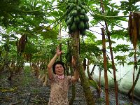 0811_046.jpg (188652 bytes)