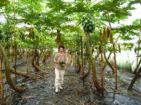 0811_047.jpg (207073 bytes)