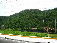 0811_055.jpg (127742 bytes)