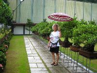 0811_060.jpg (157335 bytes)