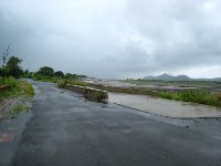 0811_068.jpg (68583 bytes)