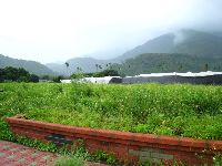 0811_069.jpg (124648 bytes)