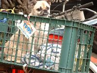 0820_001.JPG (143093 bytes)