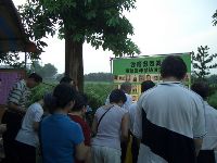 0825_090.JPG (103092 bytes)